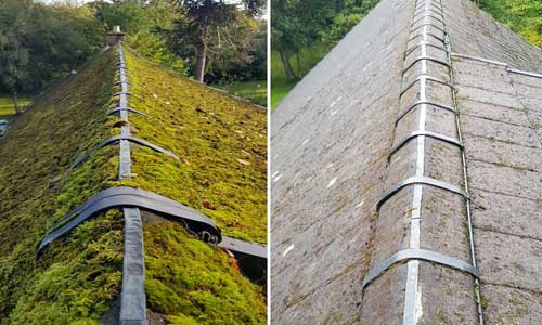 roof moss removal